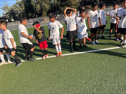 Soccer Field image 1